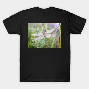 Newly emerged dragonfly #2 T-Shirt